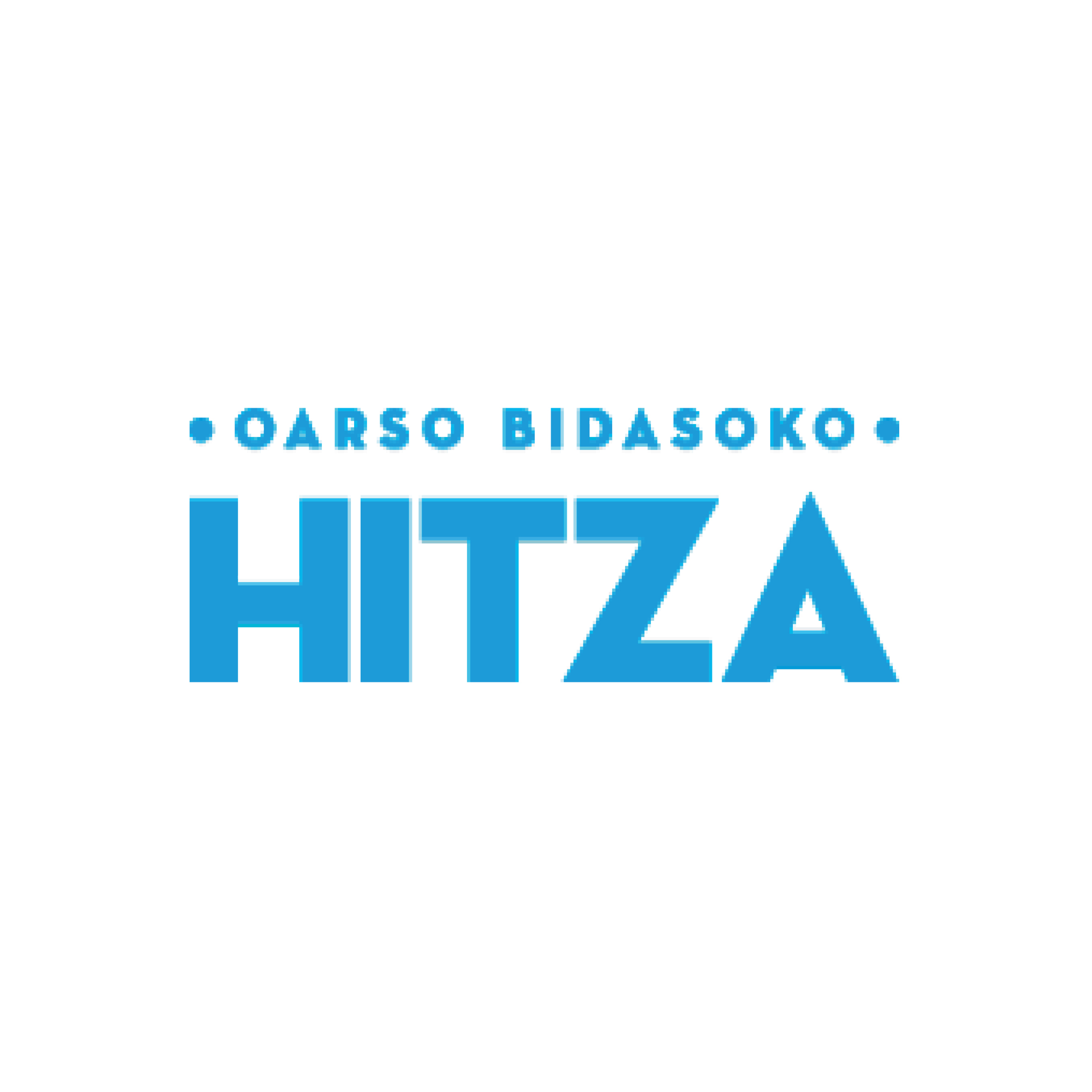 Oarso Bidasoko Hitza