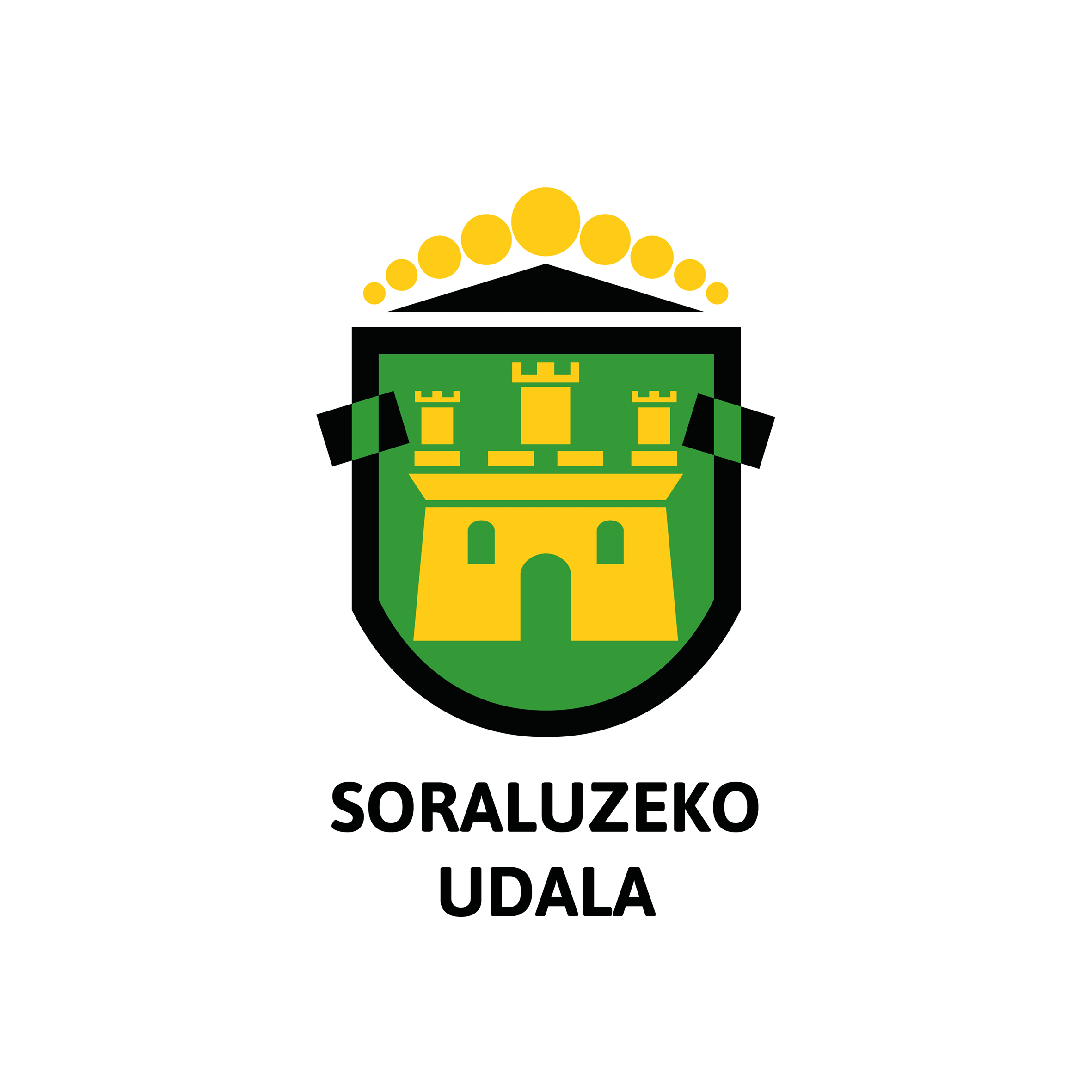 Soraluzeko Udala