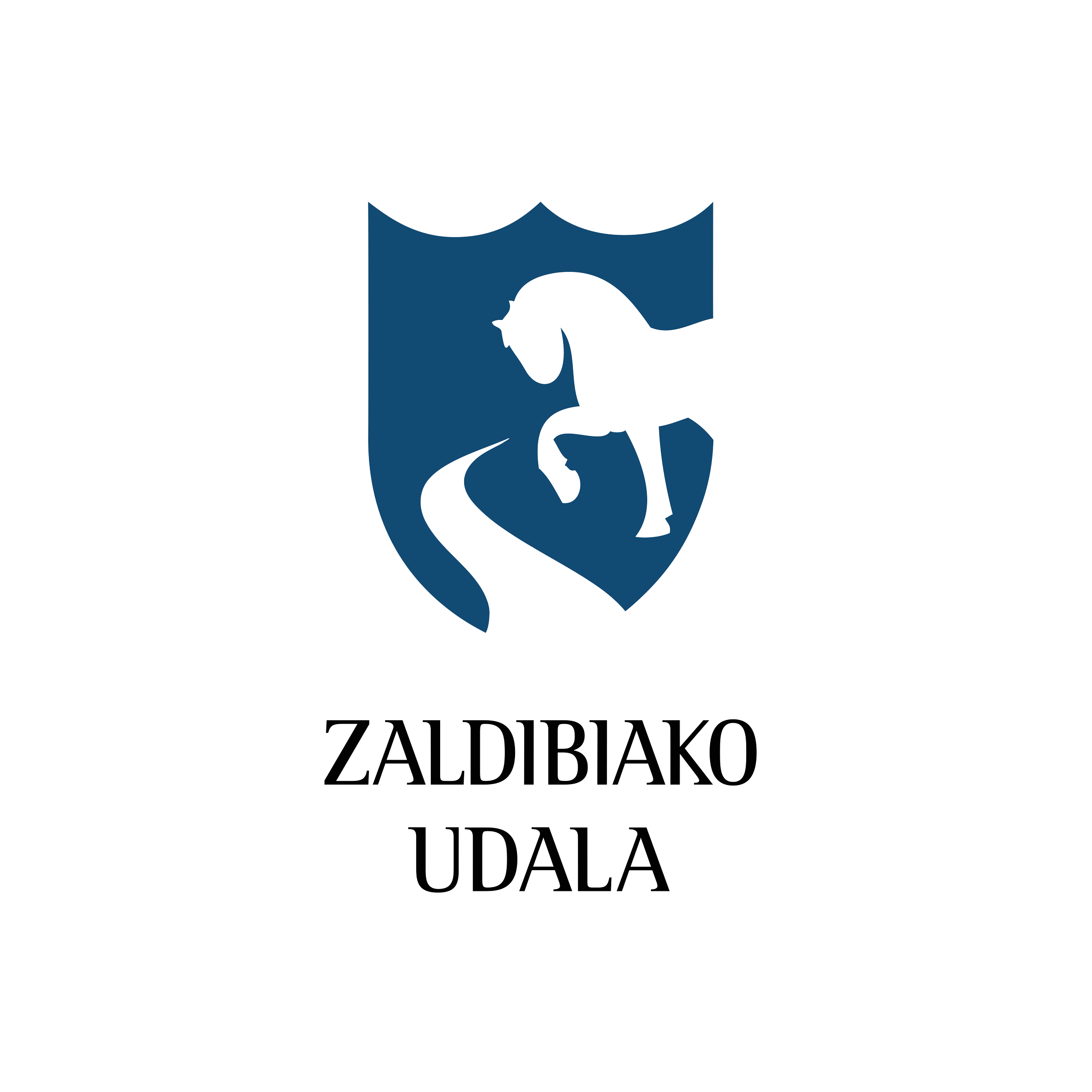 Zaldibiko Udala