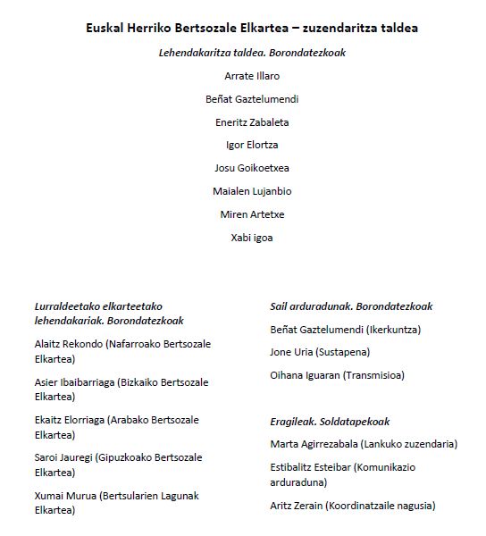 Bertsozale Elkartea_egitura