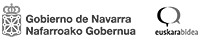 Nafarroako Gobernua