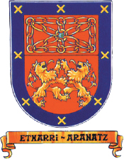 Etxarri-Aranazko udala