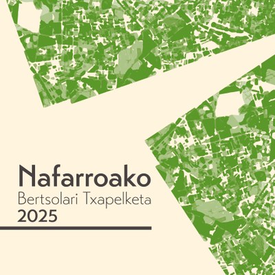 Nafarroako Bertsolari Txapelketa 2025
